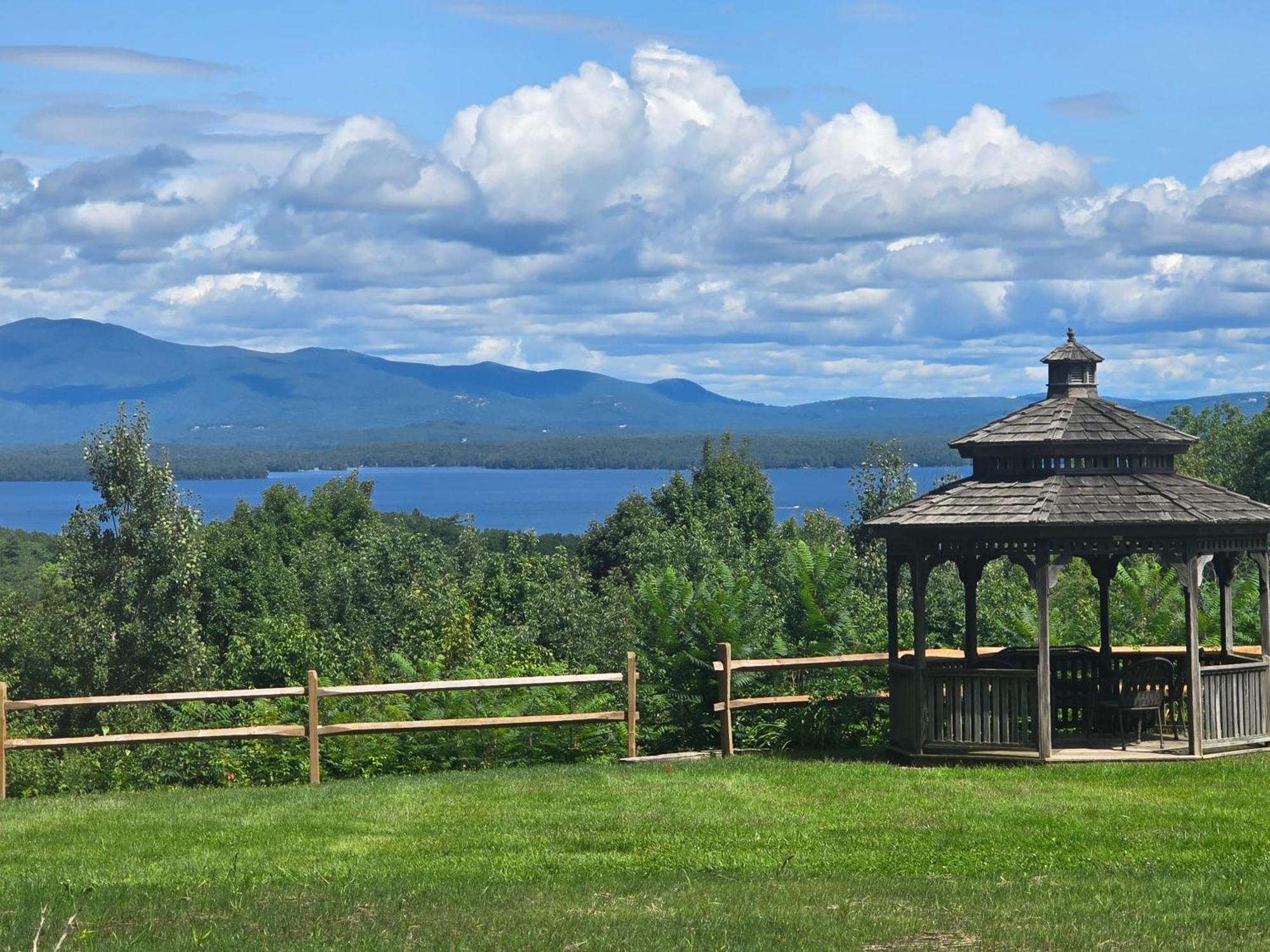 Gunstock &